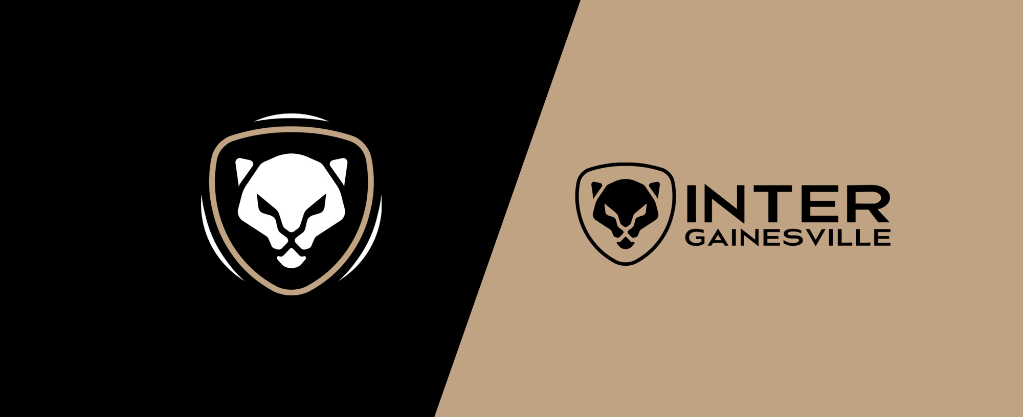 Inter Gainesville wordmark lockup