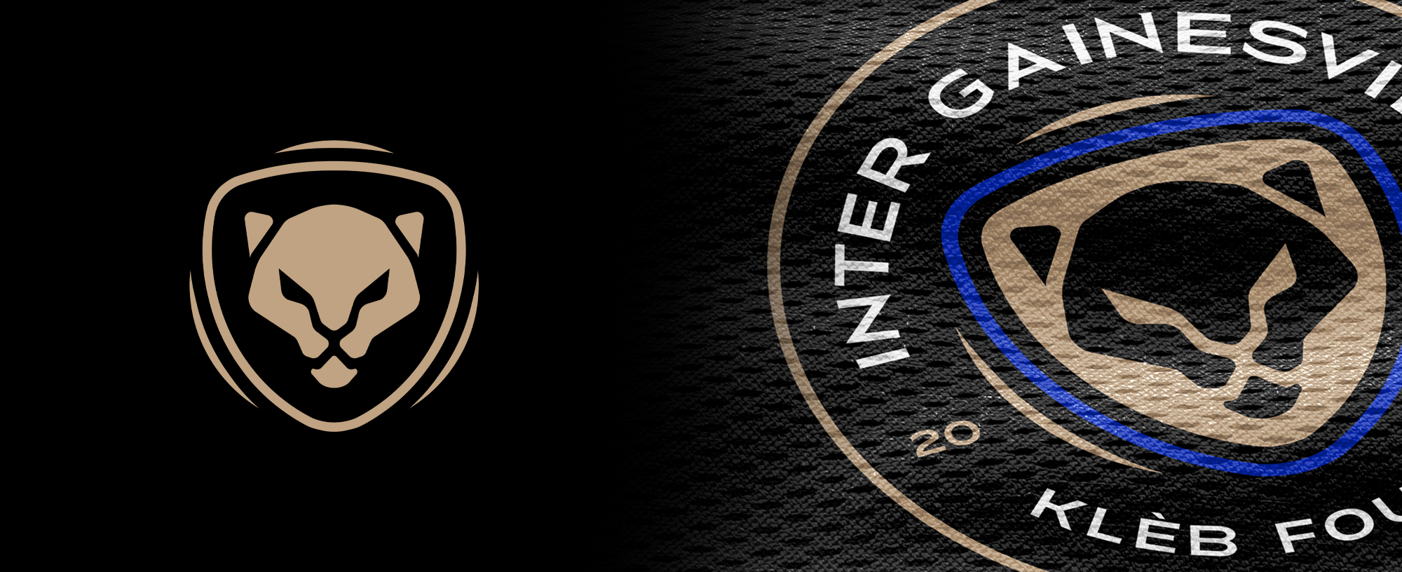 Inter Gainesville sub-mark and detail