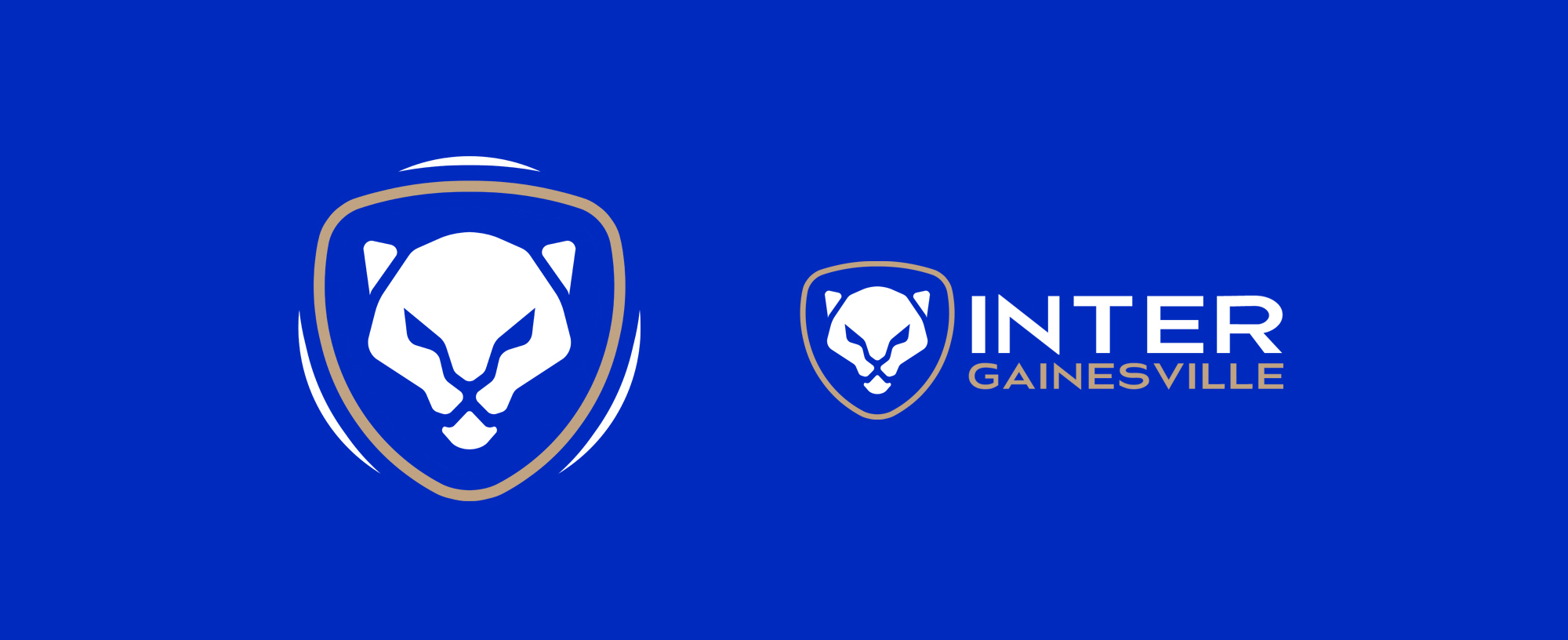 Inter Gainesville alternate marks on blue