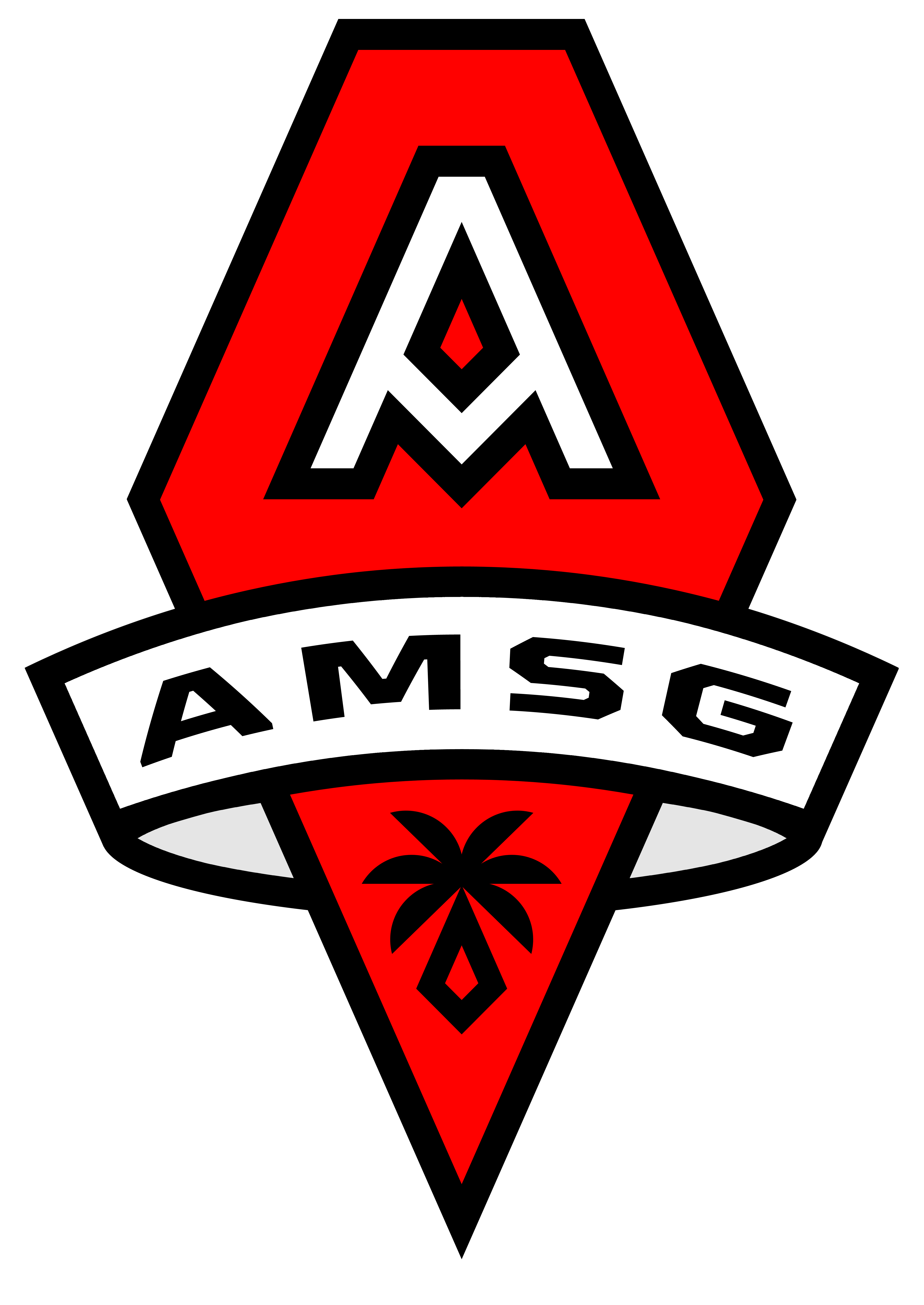 AMSG logo